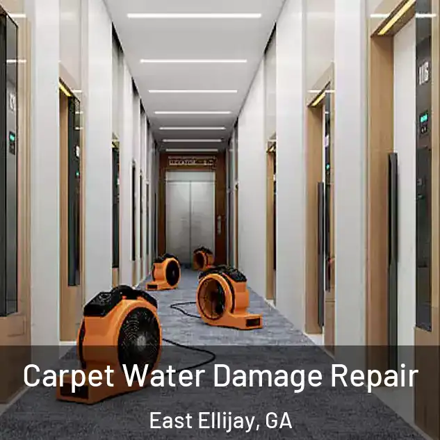  Carpet Water Damage Repair East Ellijay, GA