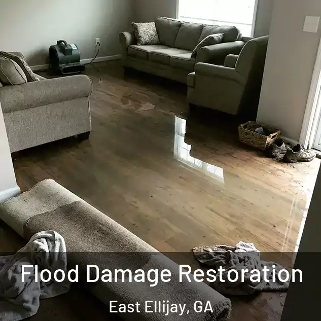  Flood Damage Restoration East Ellijay, GA