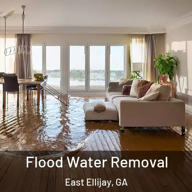  Flood Water Removal East Ellijay, GA