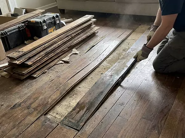 Water Damage Drying in East Ellijay