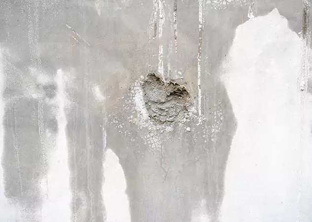 Your Mold Mitigation Solutions Partner in East Ellijay, GA