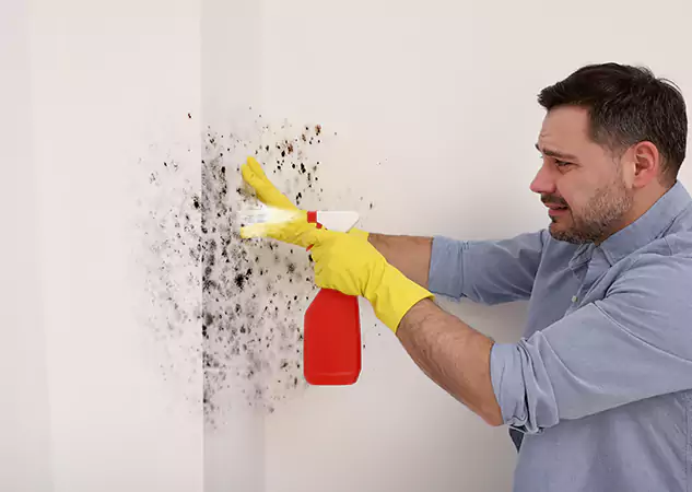 Your Water Mold Fire Restoration Partner in East Ellijay, GA