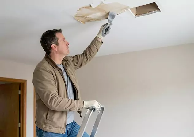 Your Ceiling Damage Repair Experts in East Ellijay, GA