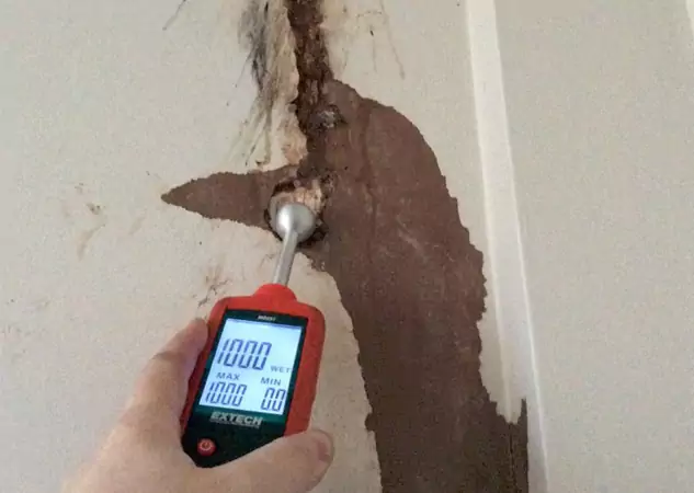 Your Water Damage Assessment Partner in East Ellijay, GA