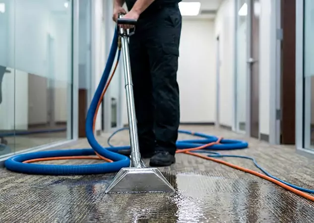Your Water Damaged Carpet Restoration Partner in East Ellijay, GA