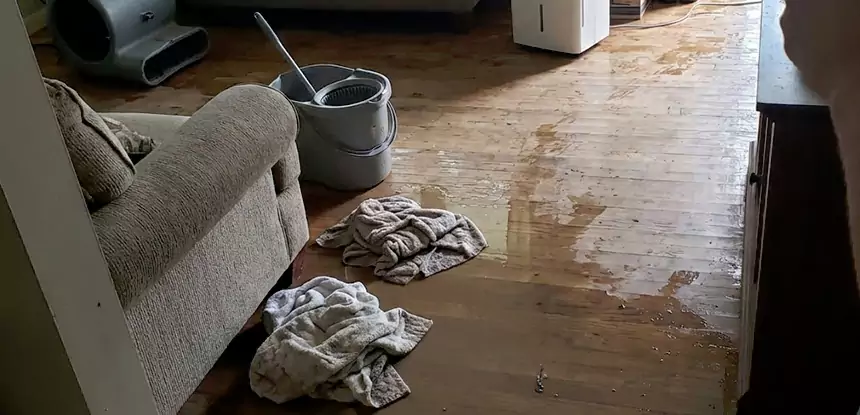 Professional Basement Water Remediation Services in East Ellijay, GA