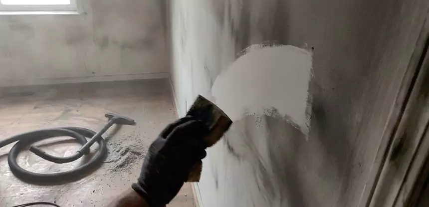 Professional Water and Fire Damage Restoration Services in East Ellijay, GA