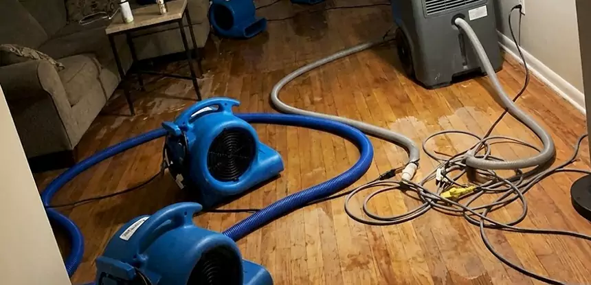 Basement Flood Restoration Services in East Ellijay
