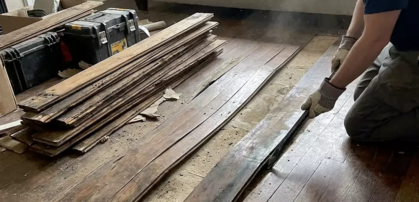 Wood Rot and Fungus Repair in East Ellijay