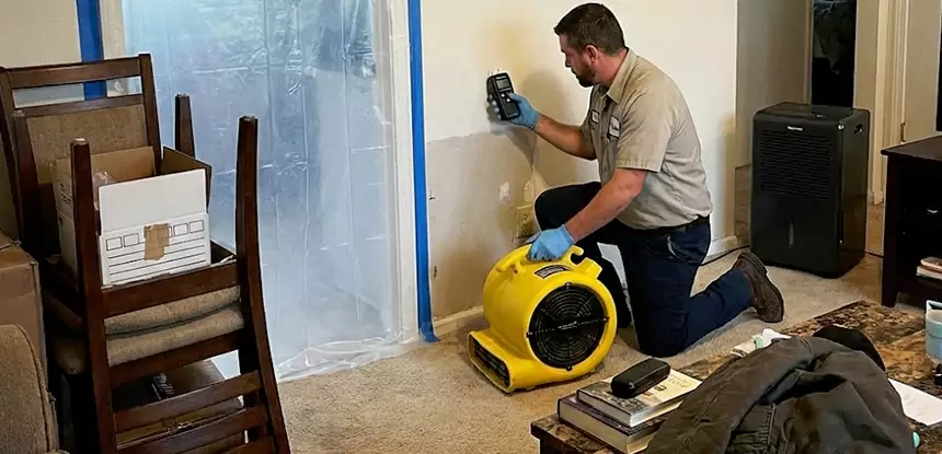 Carpet Water Damage Repair East Ellijay