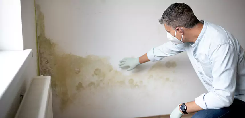 Mold and Water Damage Repair in East Ellijay