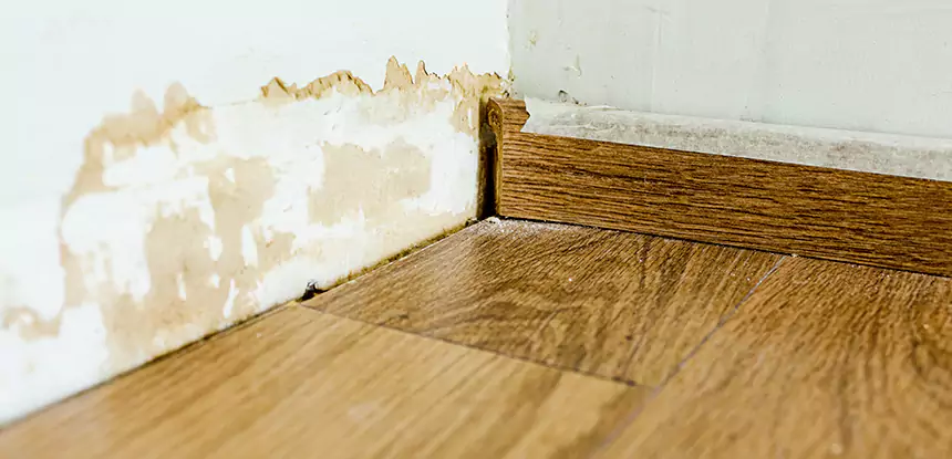 Professional Fix Water Damaged Wood Services in East Ellijay, GA
