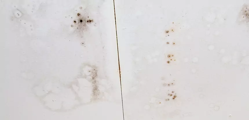 Professional Water Stain Repair Services in East Ellijay, GA