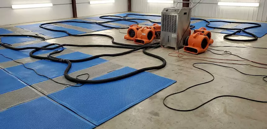 Professional Flooded Carpet Drying Services in East Ellijay, GA