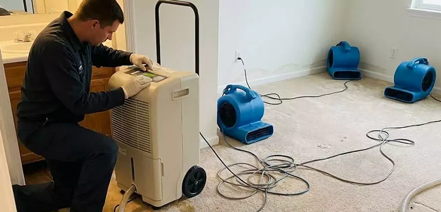 Professional Wet Carpet Removal Services in East Ellijay, GA