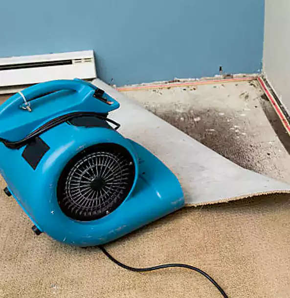 Why East Ellijay Trusts East Ellijay Restoration Pro for Carpet Flood Recovery?