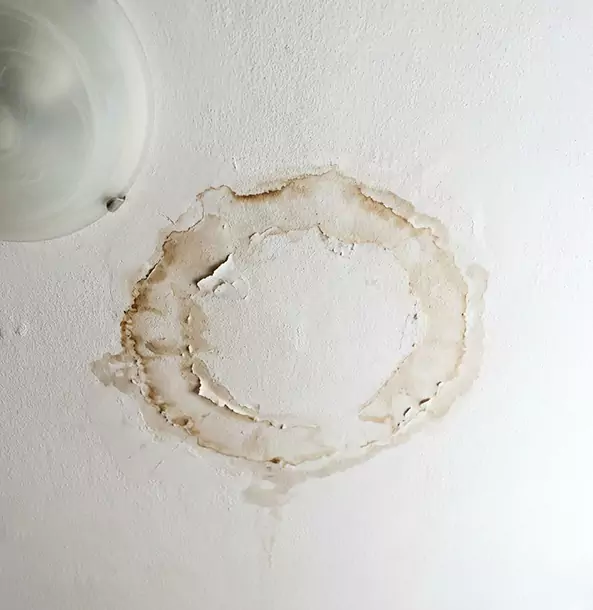 Why East Ellijay Property Owners Choose East Ellijay Restoration Pro for Ceiling Water Damage Restoration?