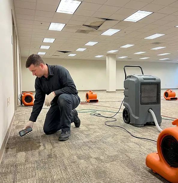 Why East Ellijay Businesses Choose East Ellijay Restoration Pro for Water Cleanup?