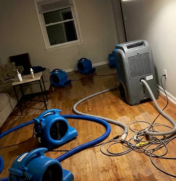 Why East Ellijay Calls East Ellijay Restoration Pro First for Emergency Restoration?