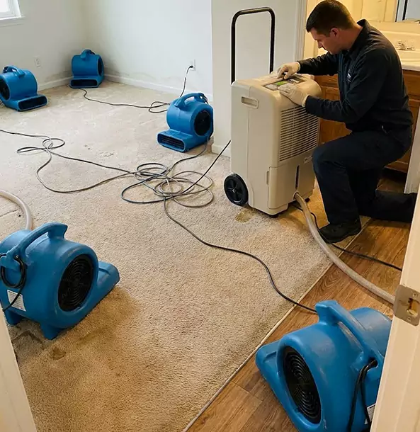 Why East Ellijay Homeowners Choose East Ellijay Restoration Pro?
