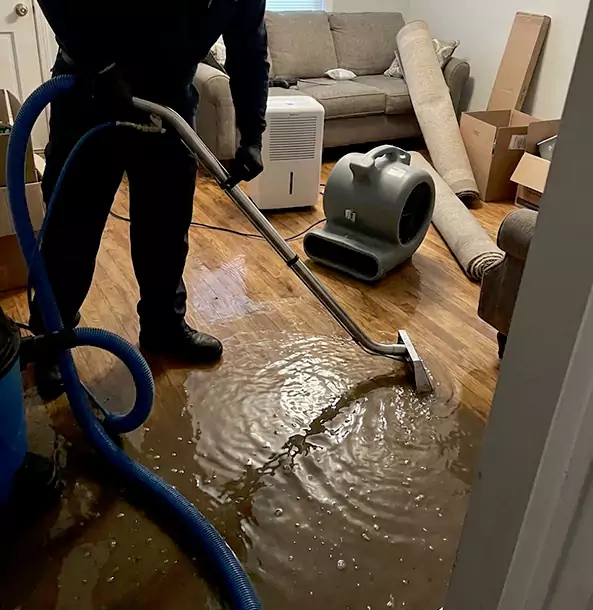 Why East Ellijay Trusts East Ellijay Restoration Pro for Flood Cleanup?