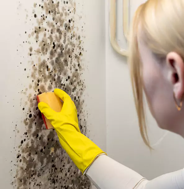 Why East Ellijay Restoration Pro Leads Mold Remediation in East Ellijay?