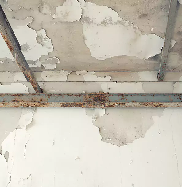 Why East Ellijay Restoration Pro Is the Right Choice in East Ellijay, GA?