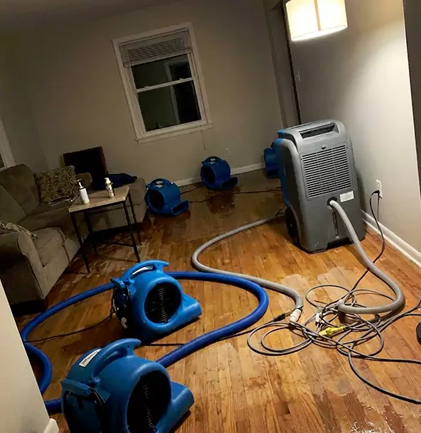 Why East Ellijay Property Owners Rely on East Ellijay Restoration Pro for Remediation?