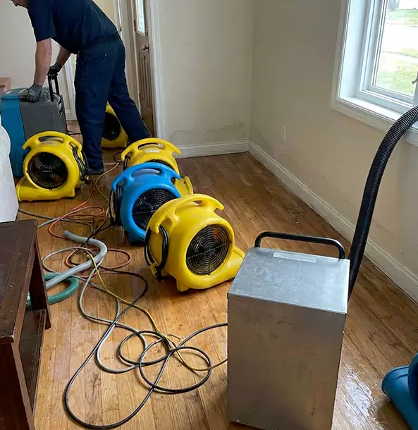 Why East Ellijay Property Owners Choose East Ellijay Restoration Pro for Remediation?