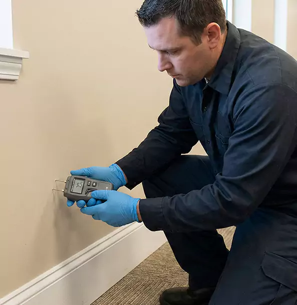 Why East Ellijay Property Owners Trust East Ellijay Restoration Pro for Leak Detection?