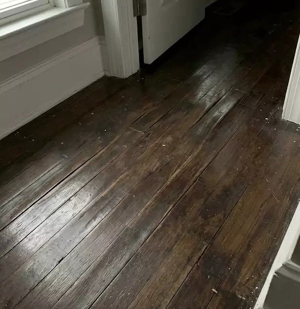 Why East Ellijay Homeowners Trust East Ellijay Restoration Pro to Fix Water Damaged Wood?