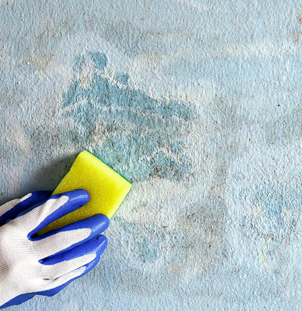 Why East Ellijay Restoration Pro Is the Right Choice in East Ellijay, GA?