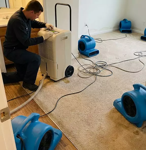 Why East Ellijay Homeowners and Businesses Trust East Ellijay Restoration Pro for Carpet Drying?