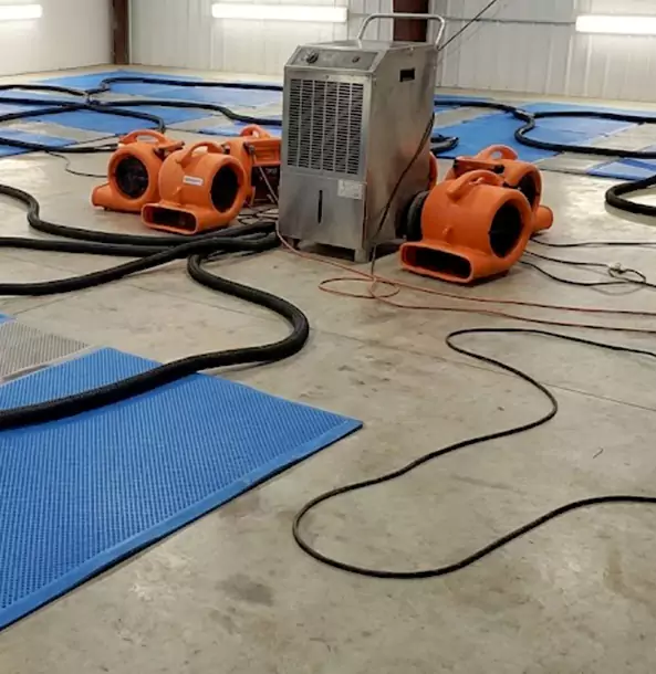 Why East Ellijay Homeowners and Businesses Choose East Ellijay Restoration Pro for Wet Carpet Removal?