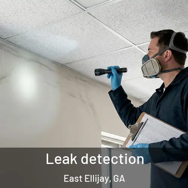  Leak detection East Ellijay, GA