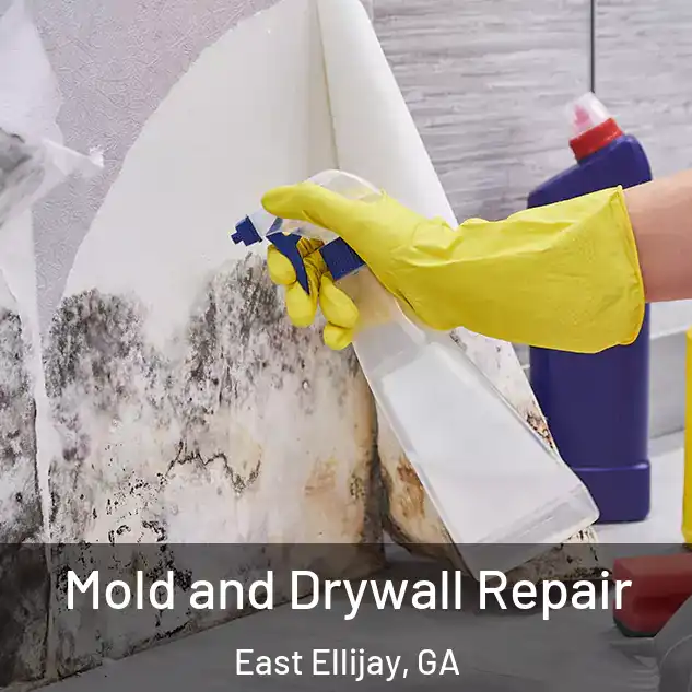  Mold and Drywall Repair East Ellijay, GA