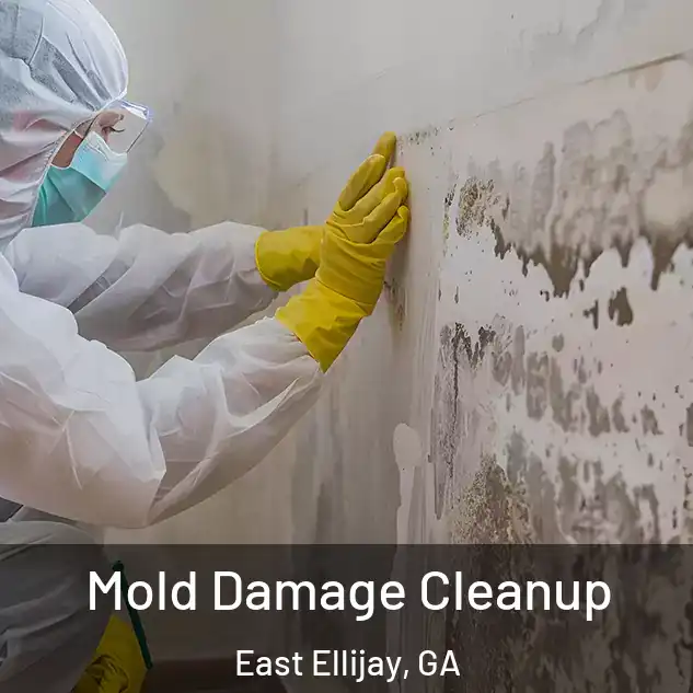  Mold Damage Cleanup East Ellijay, GA