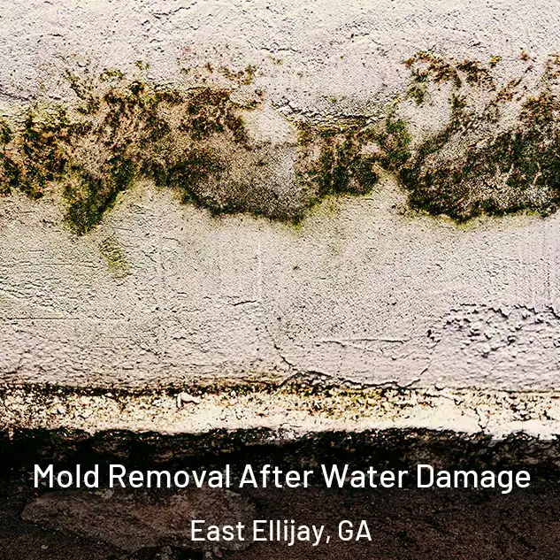  Mold Removal After Water Damage East Ellijay, GA