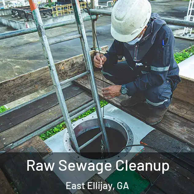  Raw Sewage Cleanup East Ellijay, GA