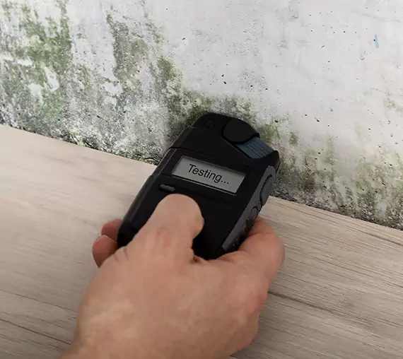 Mold Remediation Service East Ellijay