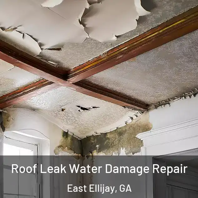  Roof Leak Water Damage Repair East Ellijay, GA