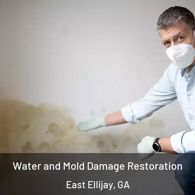  Water and Mold Damage Restoration East Ellijay, GA