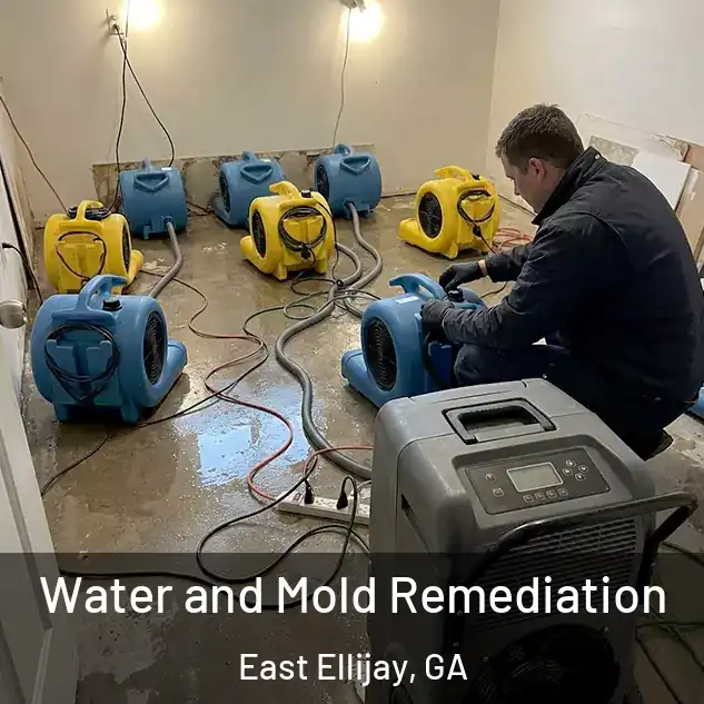  Water and Mold Remediation East Ellijay, GA