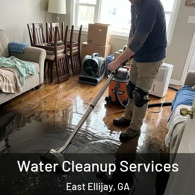  Water Cleanup Services East Ellijay, GA