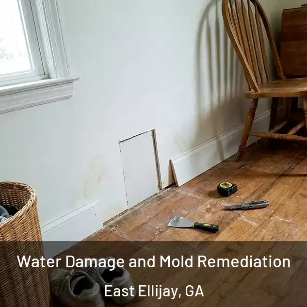  Water Damage and Mold Remediation East Ellijay, GA