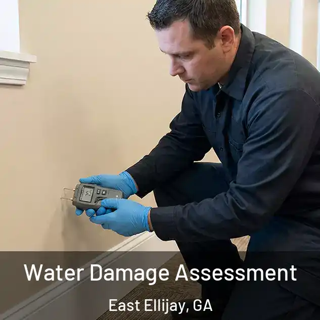  Water Damage Assessment East Ellijay, GA