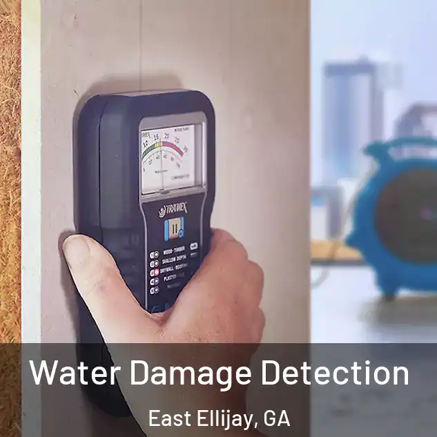  Water Damage Detection East Ellijay, GA