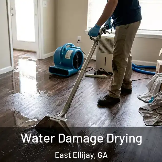  Water Damage Drying East Ellijay, GA