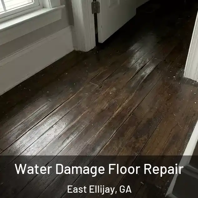  Water Damage Floor Repair East Ellijay, GA