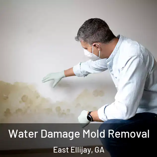  Water Damage Mold Removal East Ellijay, GA